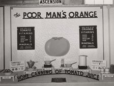Poster in agricultural exhibit. South Louisana Fair, Donaldsonville, Louisiana,  1938-10. Creator: Russell Lee.