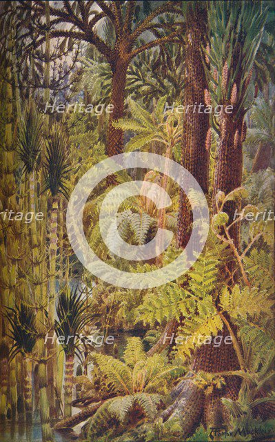 The gigantic vegetation of the Carboniferous Age, 1907.  Artist: Unknown.