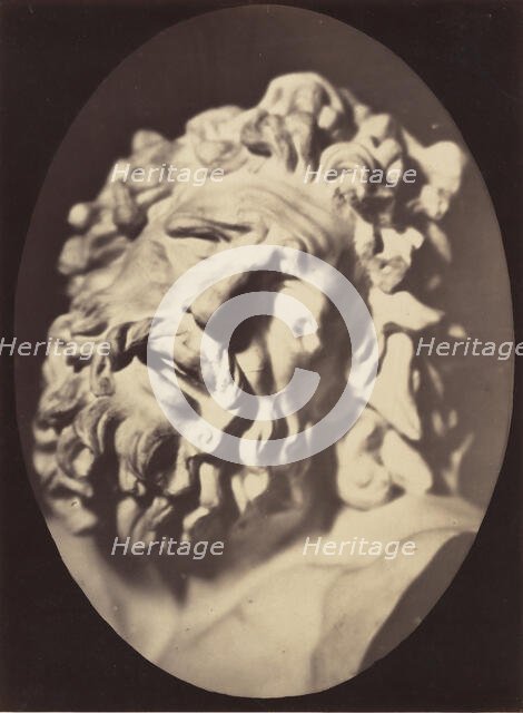 Figure 70: Head of the Laocoön of Rome, 1854-56, printed 1862. Creators: Duchenne de Boulogne, Adrien Alban Tournachon.