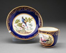 Cup and Saucer, Sèvres, 1772. Creators: Sèvres Porcelain Manufactory, Francoise Joseph Aloncle.