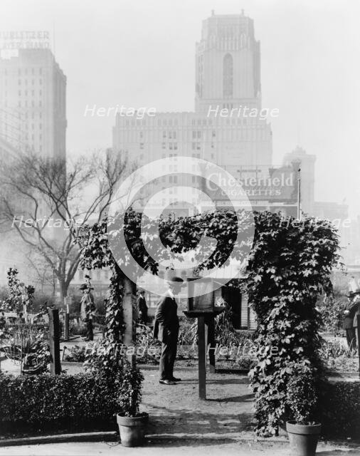 Demonstration garden, Bryant Park, 42nd Street and Fifth Avenue, New York, New York, 1918. Creator: Frances Benjamin Johnston.