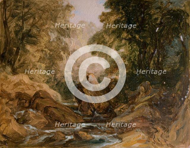 Mountain Stream and Rocks, [19th century]. Creator: Lines Family.