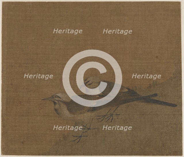 Two pied wagtails, Yuan dynasty, (14th century?). Creator: Unknown.