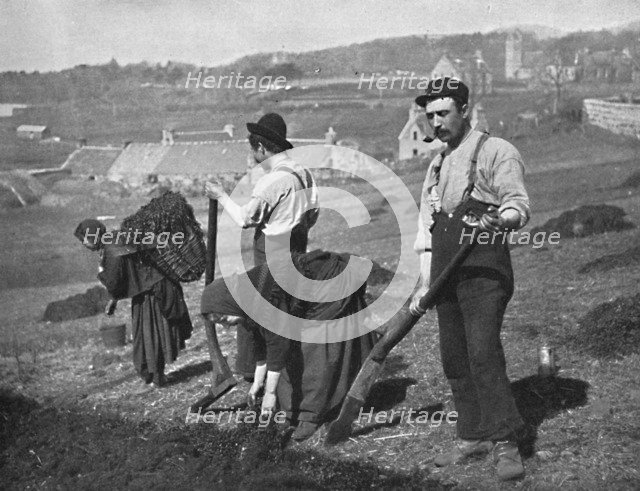 Planting potatoes in Skye, Scotland, 1912. Creator: GW Wilson and Company.