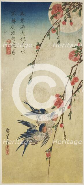 Swallows, peach blossoms, and full moon, 1830s. Creator: Ando Hiroshige.
