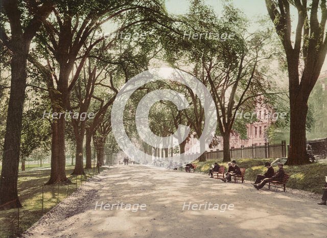 Beacon Street Mall, Boston, c1899. Creator: Unknown.