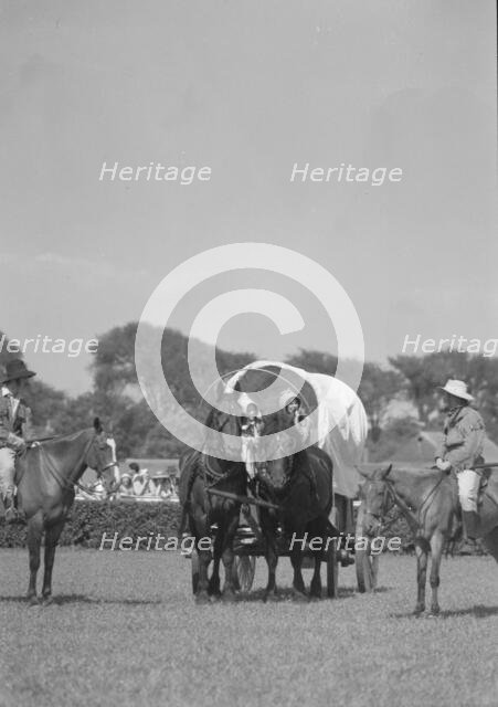 Horse show or show jumping event, between 1911 and 1942. Creator: Arnold Genthe.