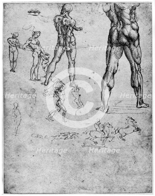 Nude studies for 'The Battle of Anghiari', c1503-1505 (1954). Artist: Leonardo da Vinci