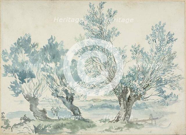 Three Willow Trees, n.d.