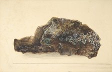 Study of a Rock, early 19th century. Creator: Anon.