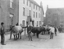 Salutation Inn, Faringdon, Oxfordshire, 1904. Artist: Henry Taunt