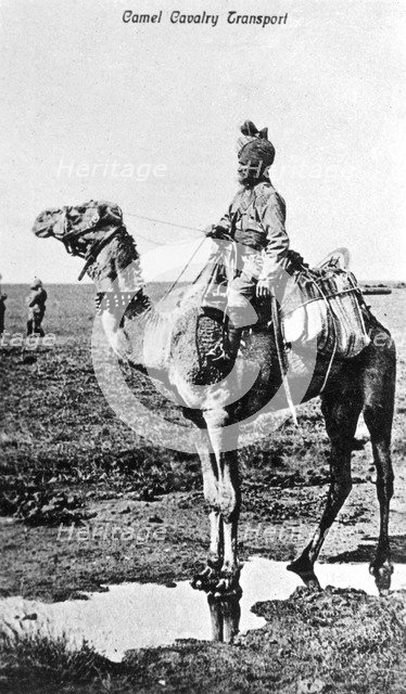 Camel cavalry transport, India, 20th century. Artist: Unknown