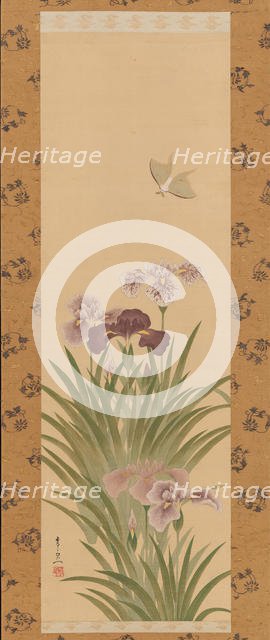 Irises and Moth, ca. 1850. Creator: Suzuki Kiitsu.