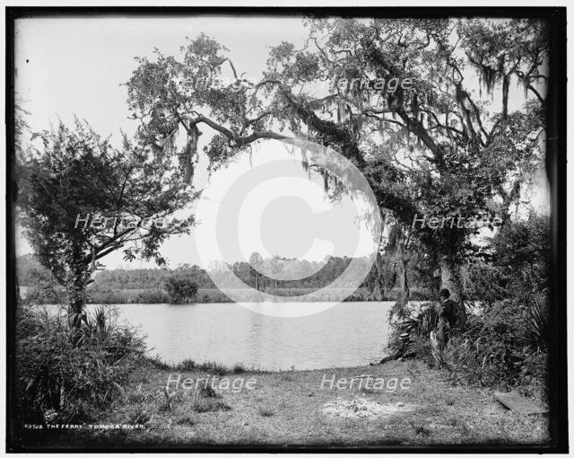 The ferry, Tomoka River, c1894. Creator: William H. Jackson.
