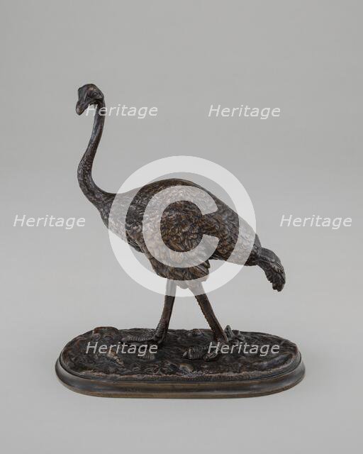 Walking Ostrich, model 19th century. Creator: Unknown.