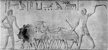Sheep treading in seed, Ancient Egyptian tomb relief carving, c2000 BC. Artist: Unknown