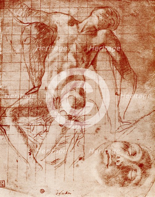 Studies, 1913.Artist: Agnolo Bronzino