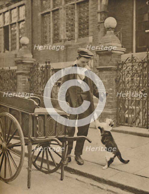 'One of the Best-Established Trades: A Customer and the Cats-Meat Man', c1935. Creator: Donald McLeish.