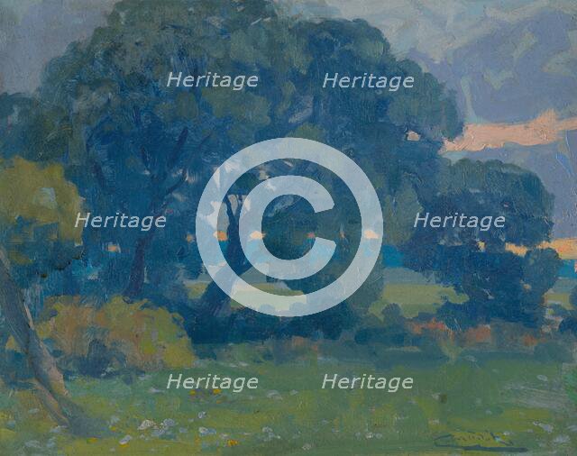 Meadow with a Group of Trees, around 1910. Creator: Ludovit Cordak.