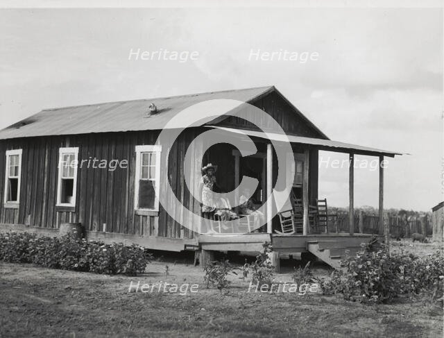 Allen Plantation operated by Natchitoches Farmstead Association, a cooperative established..., 1940. Creator: Marion Post Wolcott.