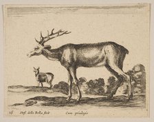 Plate 16: stag, from 'Various animals' (Diversi animali), ca. 1641. Creator: Stefano della Bella.