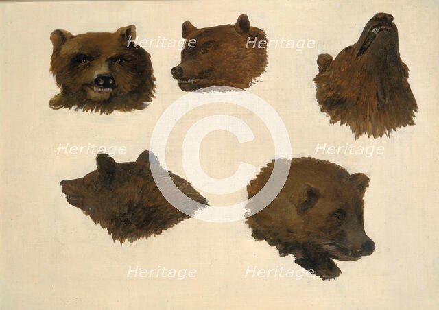 Portraits of Two Grizzly Bears, From Life, 1839-1840. Creator: George Catlin.
