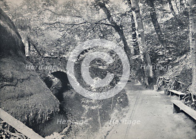 'Shanklin - The Chine', 1895. Artist: Unknown.