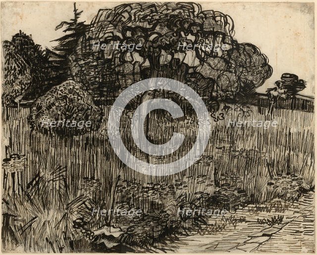 Weeping Tree, 1889. Creator: Vincent van Gogh.