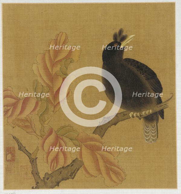 A blackbird on a branch; autumn leaves, Qing dynasty, 18th century. Creator: Unknown.