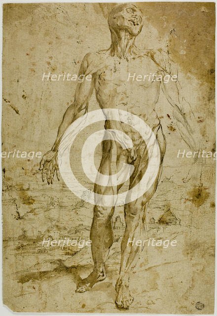 Écorché before Landscape (recto), n.d. Creator: Unknown.