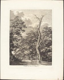 Entrata nel bosco di Marino, 1792. Creator: Jacob Wilhelm Mechau.