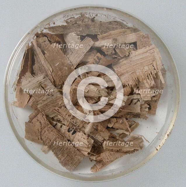 Papyri Fragments, Coptic, 7th century. Creator: Unknown.