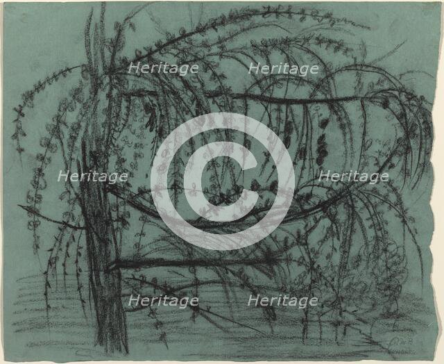 Fruit Tree in Bloom, 1900/1902. Creator: Paula Modersohn-Becker.