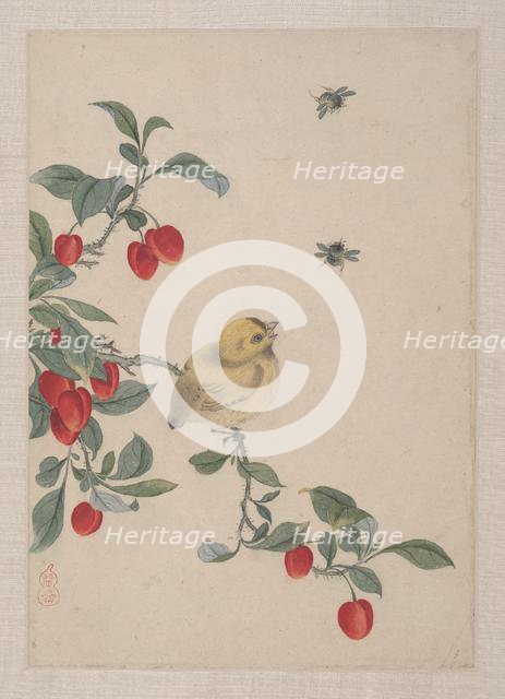 Birds, Insects and Flowers, 19th century. Creator: Yi Zhai.