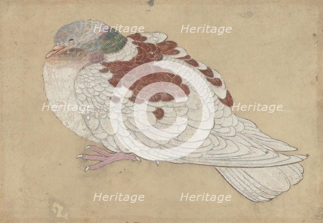Bird, 18th century. Creator: Unknown.