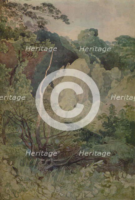 'Trees Near The Greta River', 1923. Artist: John Sell Cotman.