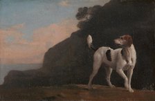 Foxhound;A Foxhound, ca. 1760. Creator: George Stubbs.