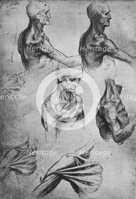 'Studies of the Head and Shoulders of a Man', c1480 (1945). Artist: Leonardo da Vinci.