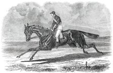 Rhedycina, Winner of the Oaks Stakes, at Epsom, 1850. Creator: Unknown.