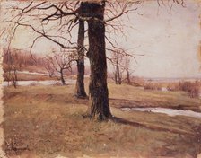 Spring landscape, 1888. Artist: Kuvshinnikova, Sophia Petrovna (1847-1907)