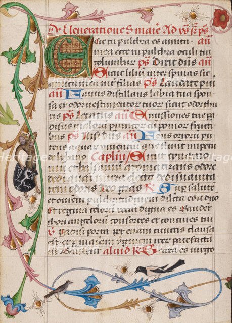 Decorated Initial E; Diurnal, about 1485. Creator: Unknown.