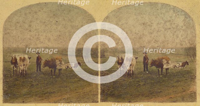 'The unmolested kine rechew the cud.', 1857-1859. Creator: William Morris Grundy.