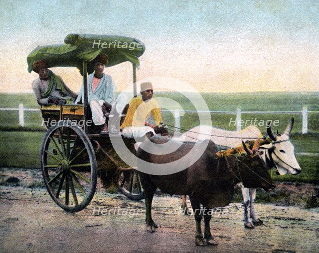 A Bombay reckla, India, early 20th century. Artist: Unknown