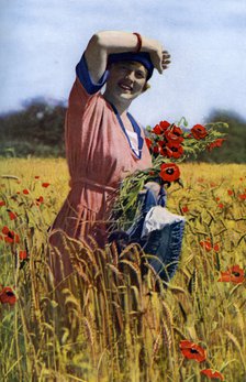 'The 'English Rose, c1922. Artist: Horace Walter Nicholls