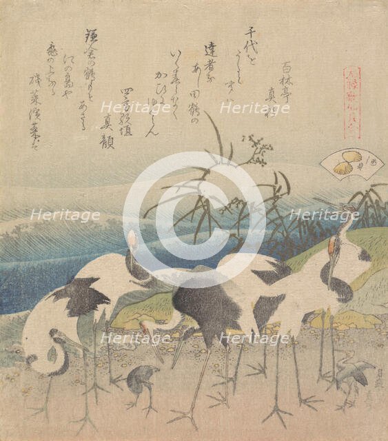 Ashi Clam, from the series "Genroku Kasen Kai-awase", 1821. Creator: Hokusai.