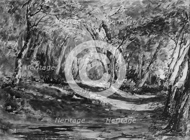 Windsor Forest, 1844. Creator: John Frederick Kensett.