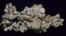 The Latrobe Gold Nugget. Artist: Unknown