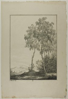 Plate 25 from Blatt Baum und Landschafts Studien, c.1810. Creator: Lorenz Ekemann Alesson.