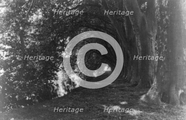 Chateau of Courances, Forest of Fontainebleau, France, between 1910 and 1925. Creator: Frances Benjamin Johnston.