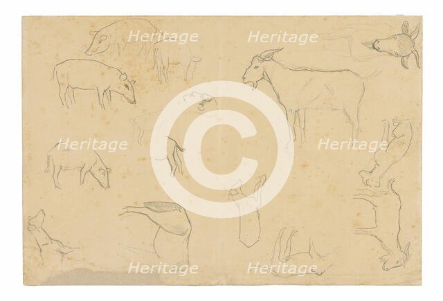 Sketches of Various Animals and Head (recto), Sketches of a Head, Figure in Profile, An..., 1891/93. Creator: Paul Gauguin.